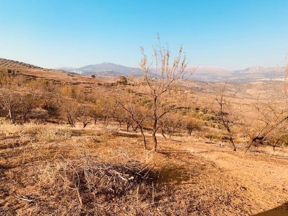 Helårsgrund i Vinuela, Malaga - foto 3